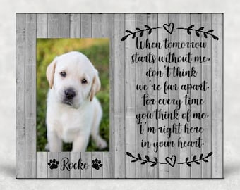 59 HQ Pictures Pet Loss Quotes And Poems : Pet Loss Quotes And Poems 2021 At Pets Api Ufc Com