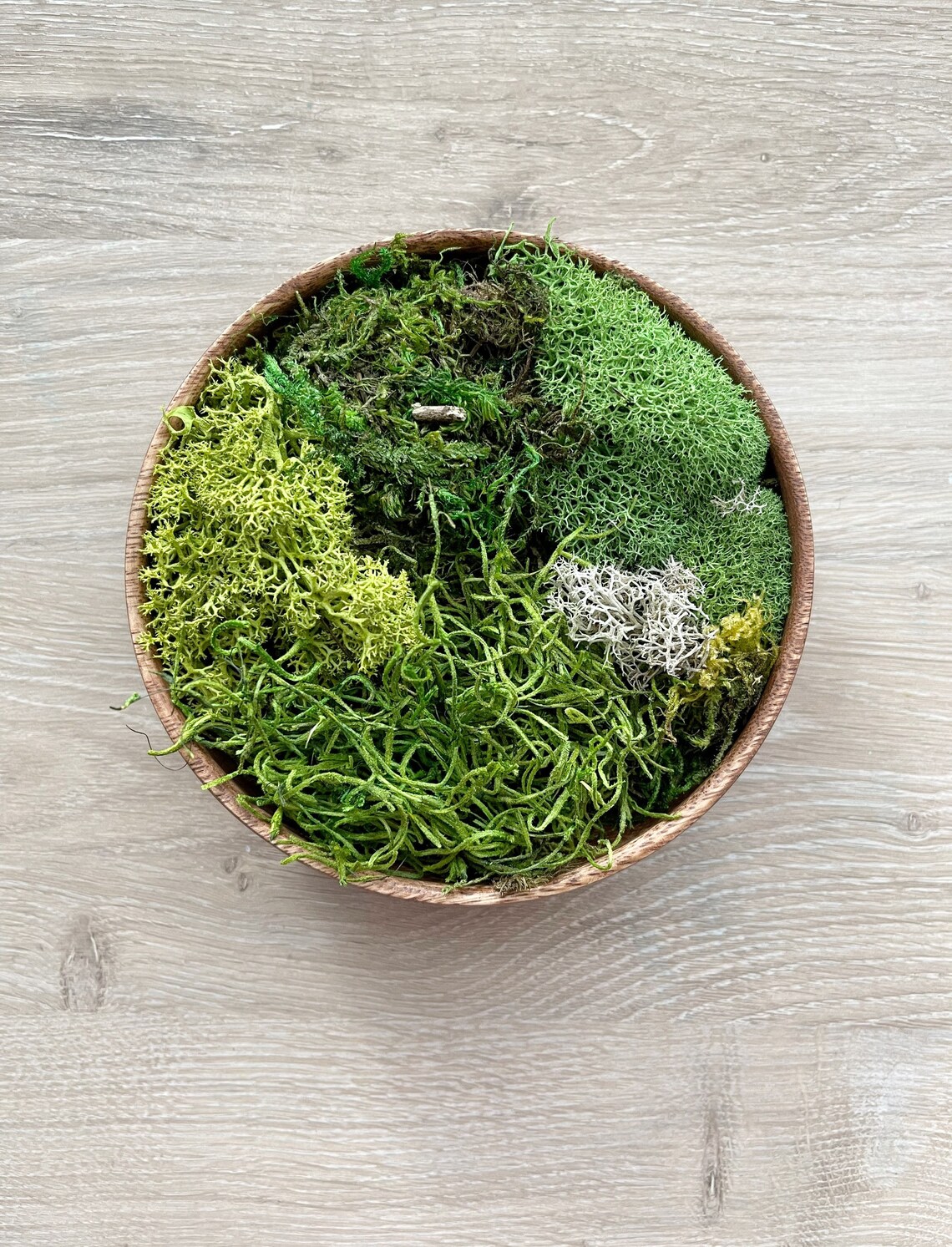 Wooden Moss Bowl Preserved Moss Table Centerpiece Etsy