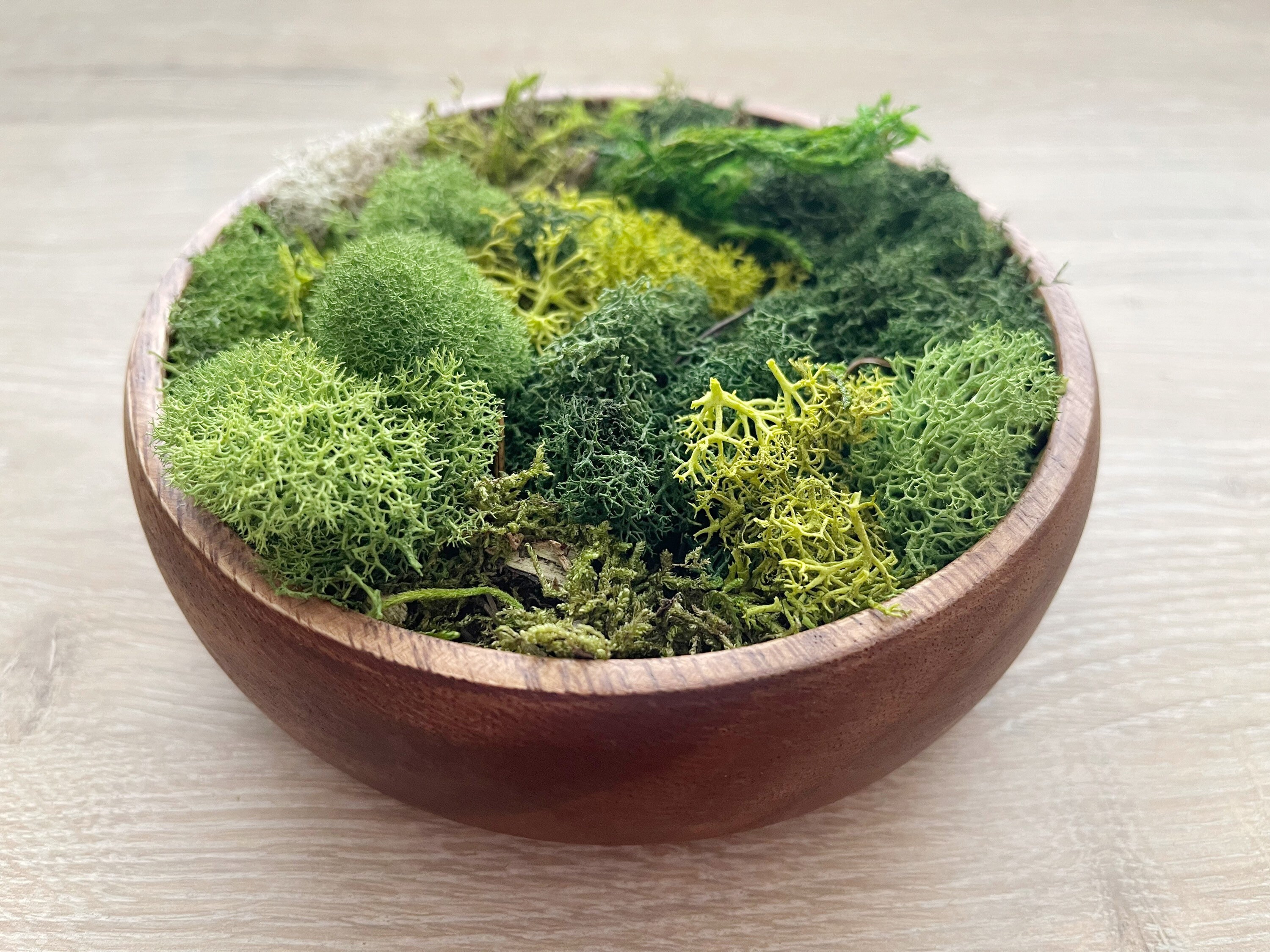 Wooden Moss Bowl Preserved Moss Table Centerpiece Etsy