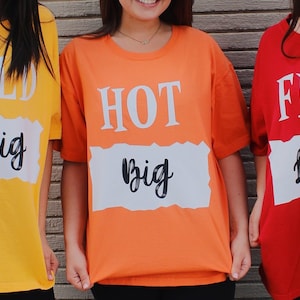 Sorority T-shirt, Sorority Tee, Greek Tee, Big Little Gifts, Big Little Reveals, Sorority Sweatshirt, Chi Omega Sweatshirt, Kappa T-shirt