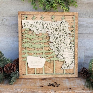May include: A wooden map of Florida state parks with a green outline of the state and the words "Florida State Parks" in a white rectangle. The map is framed in a natural wood frame and is displayed on a wooden shelf with a pile of logs underneath.