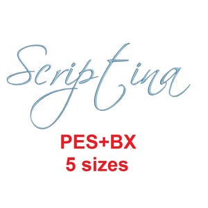 Puede incluir: Un diseño de fuente de escritura azul que dice "Scriptina" con el texto "PES+BX 5 tamaños" debajo.