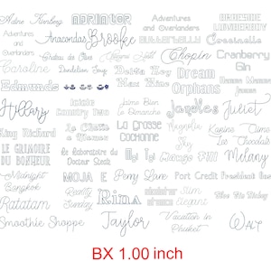 Package 50 BX 1.00&quot; Bean Stitch Embroidery Fonts (#P500601CU)