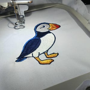 Disegno da ricamo Pulcinella di mare atlantica