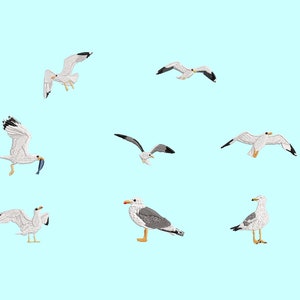 Seagulls embroidery designs (file formats in pes, vp3, vip, xxx, hus, exp, dst, jef)