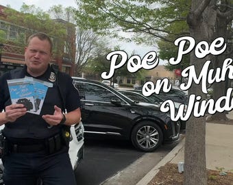 Window Poe Poe Sticker
