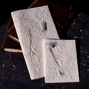 May include: Two white paper journals with pressed flowers and leaves. The journals have a textured surface and are lying on a dark surface.