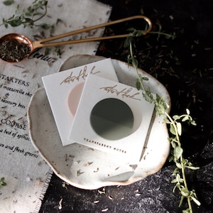 May include: Two round, transparent sticky notes with a pink and a green circle on them. The notes are on a white ceramic plate with a brown background. The text "TRANSPARENT NOTES" is printed on the bottom of the notes.