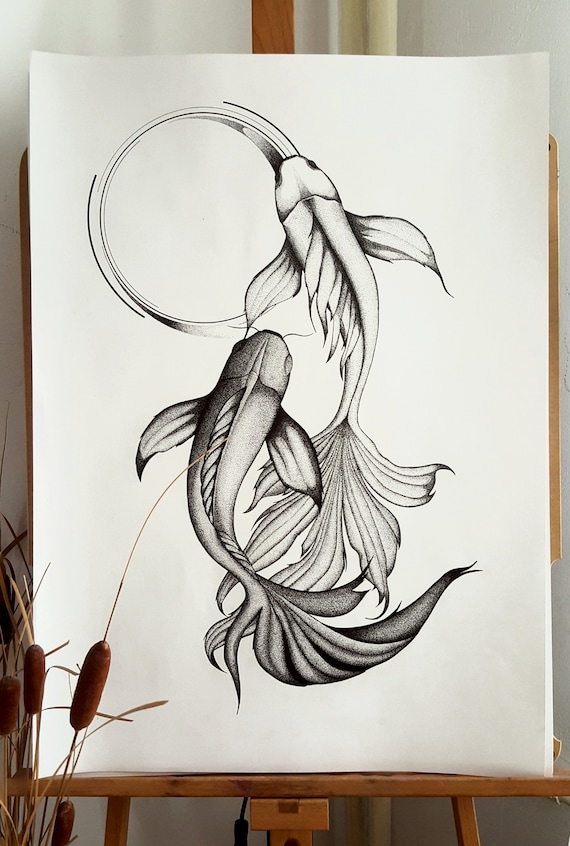 How To Draw Koi Fish From Above