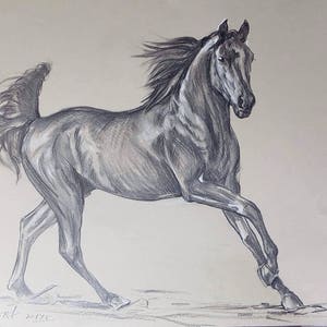 Horse portrait, animal picture, custom portrait, pastel portrait