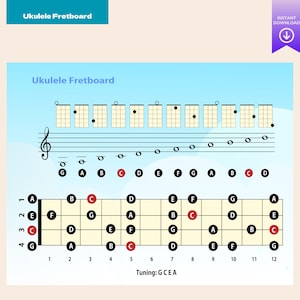 Ukulele Fretboard Chart  Notes Map  Music Theory Poster for Beginners  High-Resolution Digital Download  Letter Size 11.5x8in
