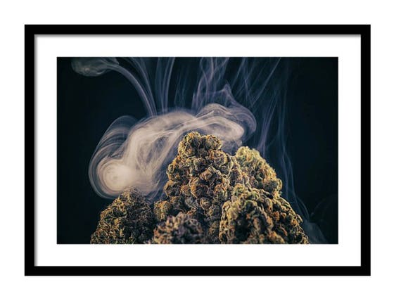 Cannabis Fine Art Stoner Gifts Weed Poster Marijuana Wall Etsy