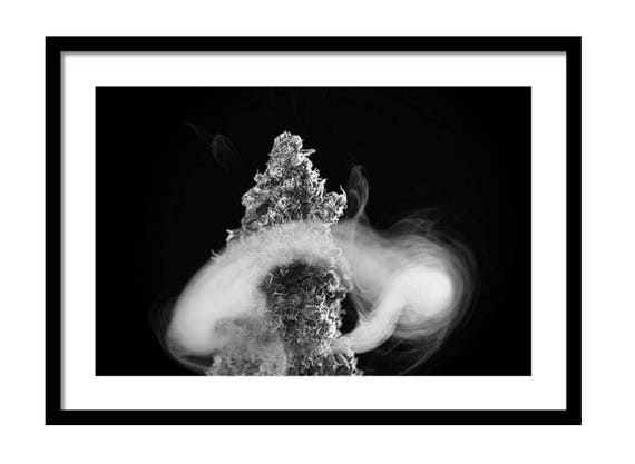 Black And White Cannabis Fine Art Marijuana Poster Weed Etsy