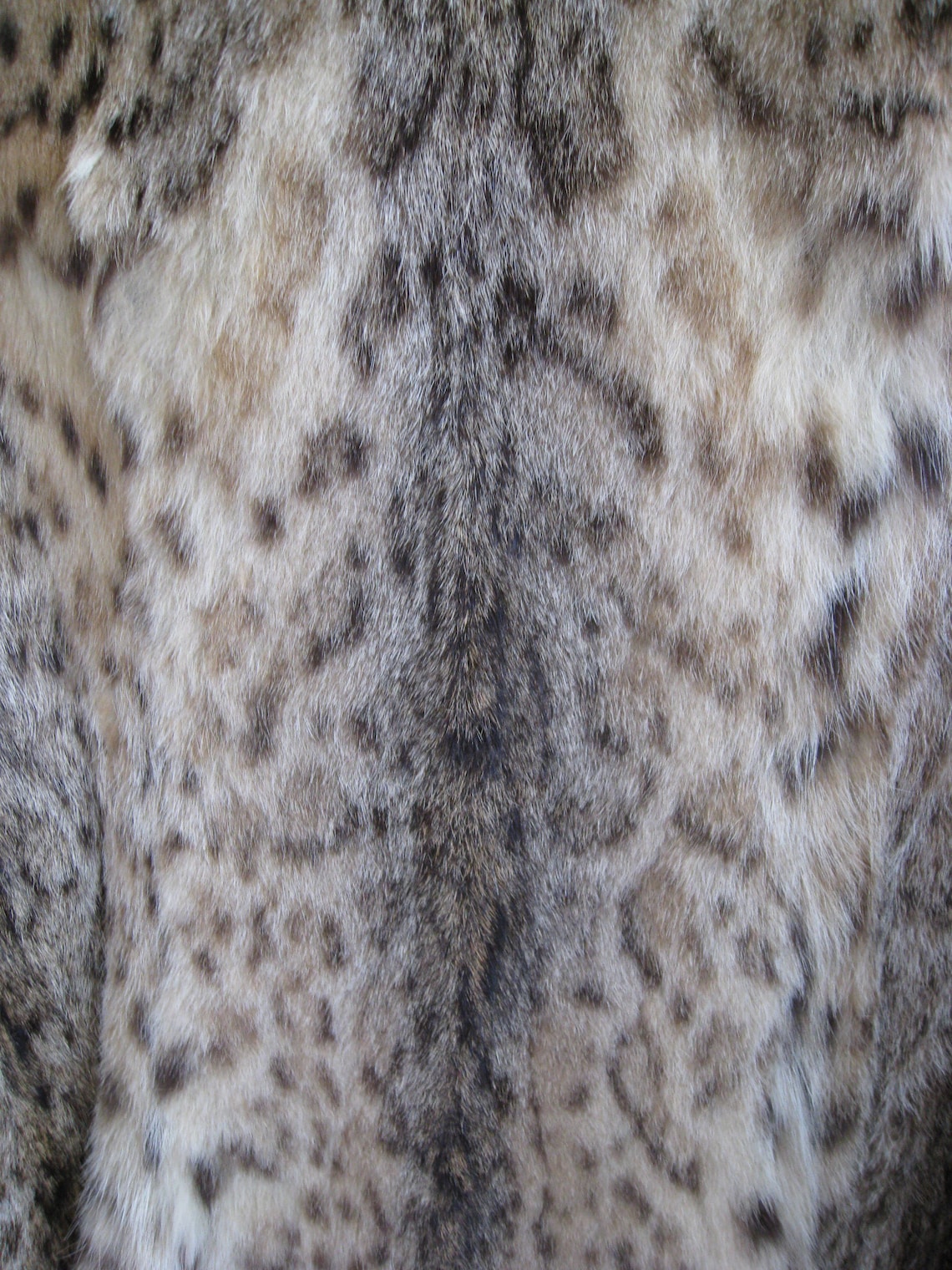Real Eurasian Lynx Fur Coat size M big and bold spots Etsy
