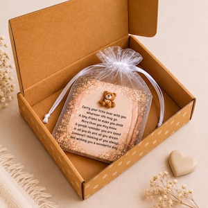 Teddy Bear Gift Friendship Keepsake Card Thinking of You Encouragement Tiny Token Pocket Hug Sympathy Remembrance Present Miniature Comfort