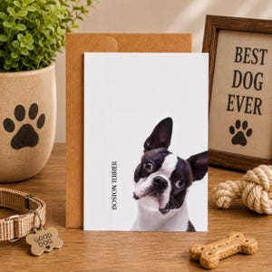 Boston Terrier Card Dog Breed Stationery Set Artistic Notecards Collection Premium Pet Illustration Cards Blank Greeting Puppy Artwork