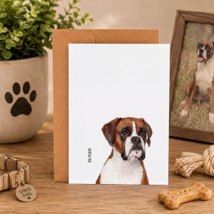 Boxer Dog Card Design Stationery Set Blank Greeting Paper Note Thank You Write Message Animal Illustration Artistic Style Unique Gift Dog