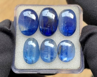Superbe cyanite bleue lisse à dos plat de qualité supérieure 11-15 mm - 6 pièces à dos plat en cyanite bleue pour la fabrication de bijoux.