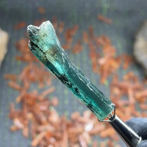 May include: A translucent, teal-colored crystal with dark inclusions is held by a silver metal tool. The crystal has a rough, textured surface and is set against a blurred background of brown and green.