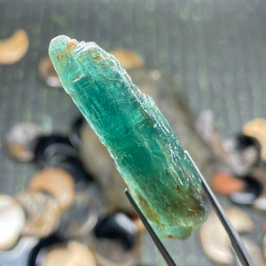 80  Cts. Green Kyanite Crystals Shards, Kyanite Blades, Raw Kyanite Stone, Natural Kyanite Stick, Kyanite Shards, Kyanite Rough For Jewelry
