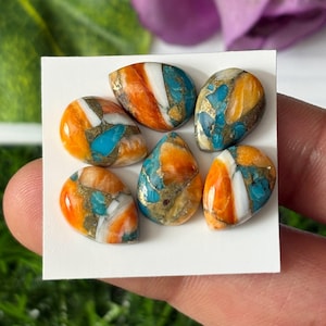 6 Pcs Oyster Copper Turquoise Cabochon Lot ,Calibrated 10X14 MM Copper Turquoise Pear Cabochon,Turquoise gemstone,Spiny Turquoise Cabochon