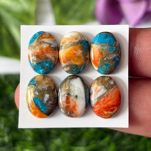 6 Pcs Oyster Copper Turquoise Cabochon Lot ,Calibrated 10X14 MM Copper Turquoise Oval Cabochon,Turquoise gemstone,Spiny Turquoise Cabochon