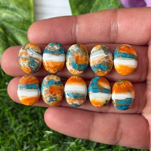 12X16 MM Oyster Copper Turquoise Cabochon,Oyster Copper Turquoise Calibrates Cabochon,Calibrated Turquoise gemstone,Spiny Turquoise Cabochon