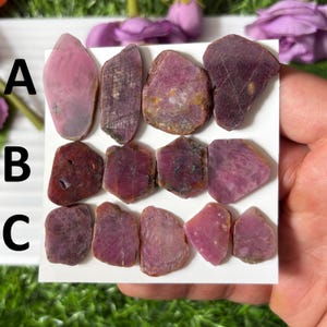 Può includere: Una collezione di gemme di rubino grezze in varie tonalità di rosa e rosso. Le gemme sono esposte su una scheda bianca, con le lettere A, B e C visibili. Le pietre grezze hanno trame e forme naturali.