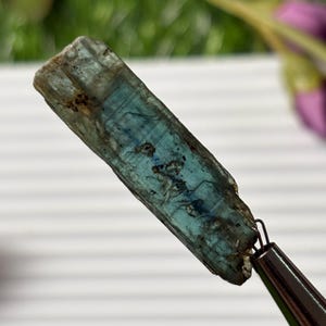 29 Cts. Bi Green Kyanite Crystals Shards, Kyanite Blades, Raw Kyanite Stone, Natural Kyanite Stick,Kyanite Shards, Kyanite Rough For Jewelry