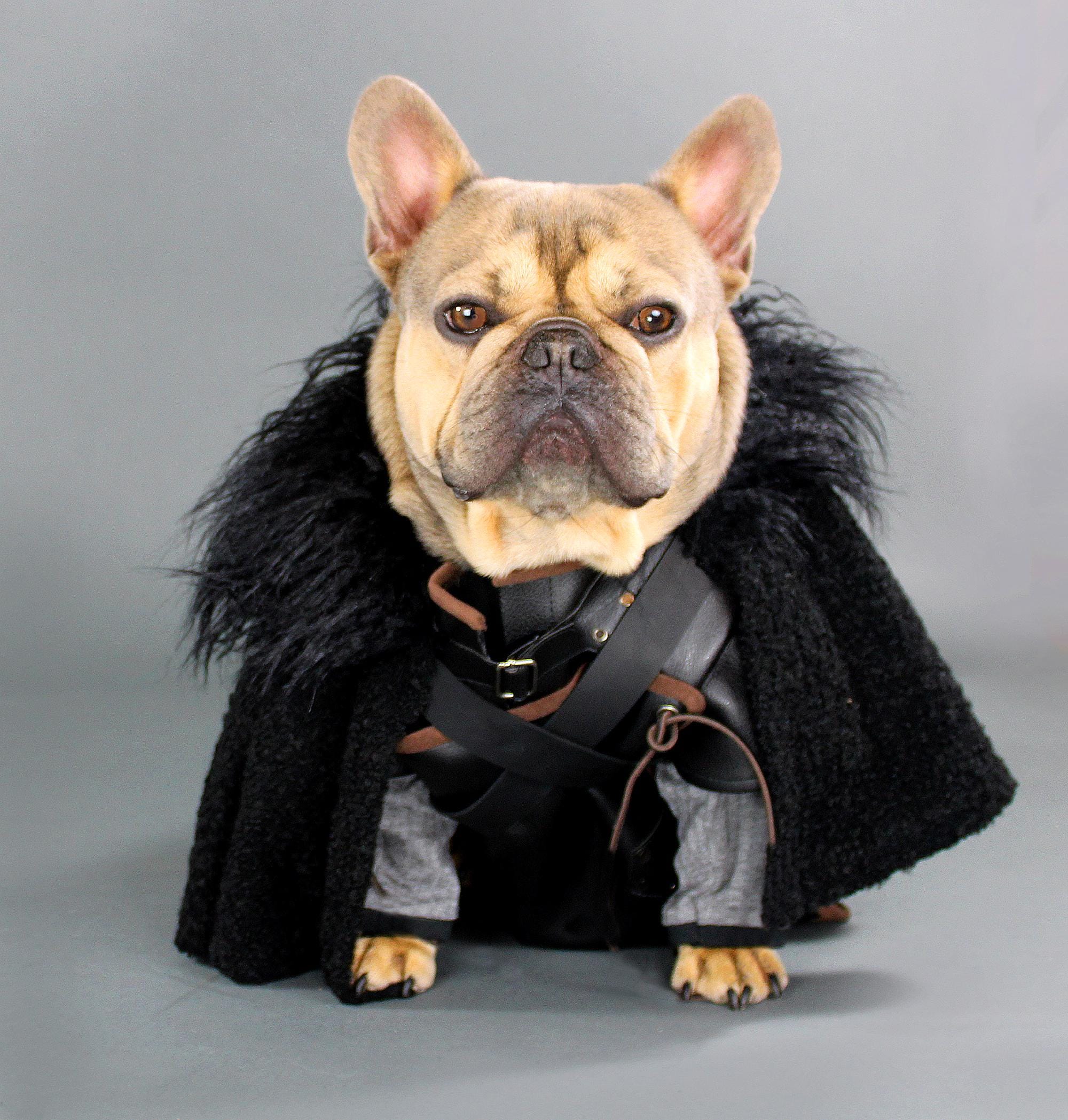 Ramsay Bolton Cara Corso Dog Canción De Hielo Y Fuego Canallas De