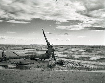 beach in silhouette