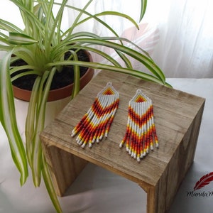 Fringe Dusters