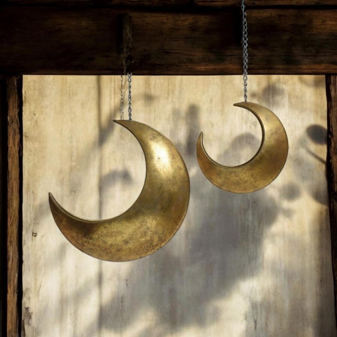 Hanging Moon Planter Room Decor Succulents Air Plant Mini Cactus