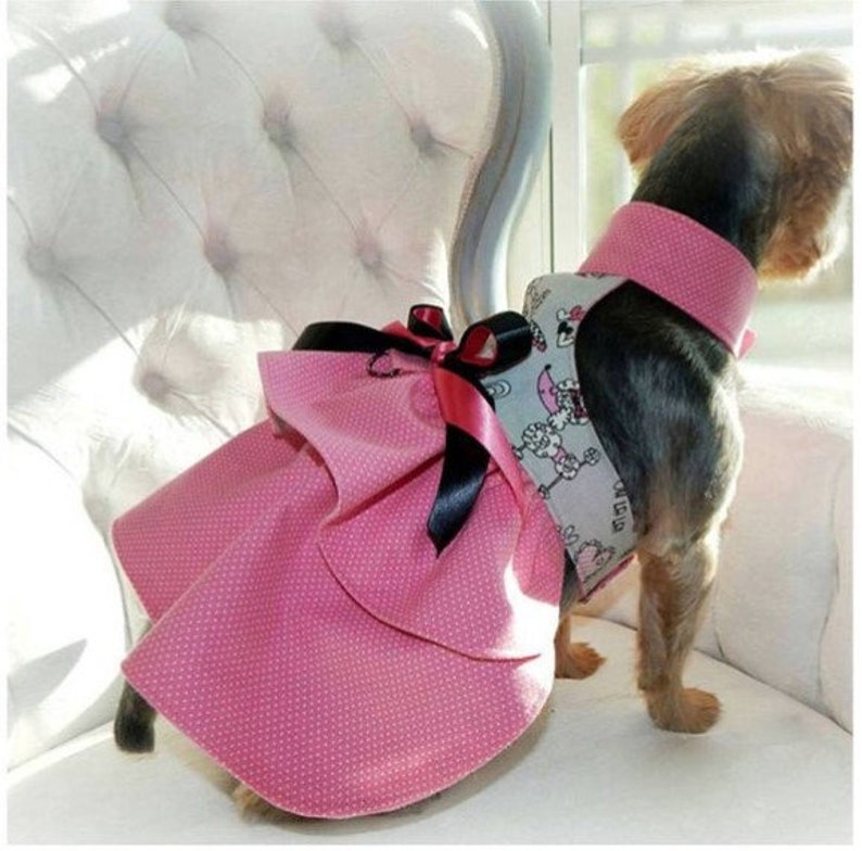 rick rack puppy collar