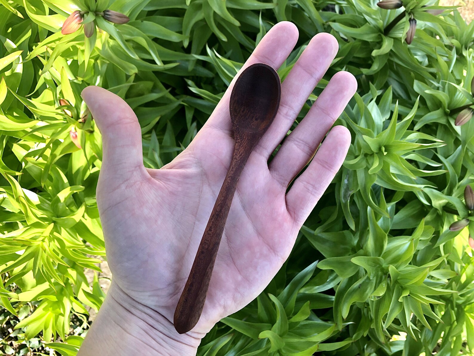 Padauk Wooden Small Spoon Handmade Dark Brown Stirring Spoon Etsy