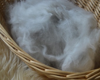 Raw Angora Rabbit Wool