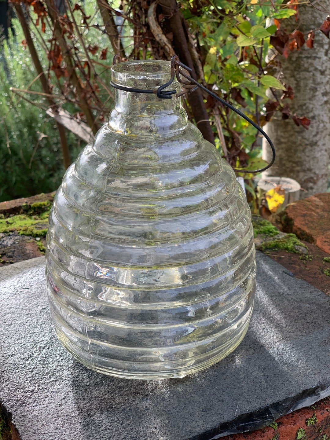 Antique Glass Wasp Trap Etsy
