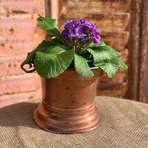 May include: A copper-colored planter with a decorative rope-like band holds a vibrant purple flowering plant with large green leaves. The planter sits on a burlap surface, with a rustic, weathered background.