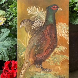 Pheasant oil on canvas Vintage