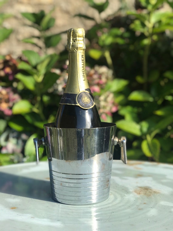 Just add champagne! This ice bucket mold is one of my favorite gadgets