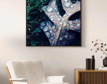 Dewy Leaf Photograph