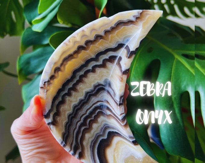 Zebra Onyx Moon Bowl Crescent Mexican Banded Onyx Chipped Etsy