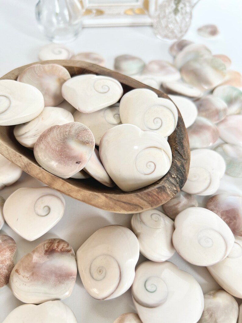 Shiva Heart Shells, Pastel Backs, Crystal Carving, Pocket Stone, Gifts for Her image 4