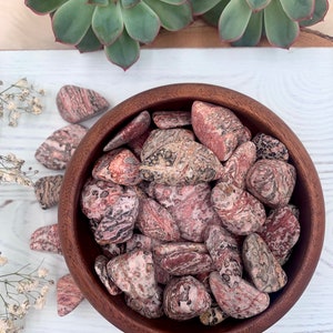 ONE Leopard Skin Jasper Tumbled Stone, Pocket Stone, Carry With You, Gemstone Gift, Unique Find, Leopard Pattern