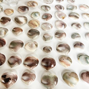 Shiva Heart Shells, Pastel Backs, Crystal Carving, Pocket Stone, Gifts for Her image 6