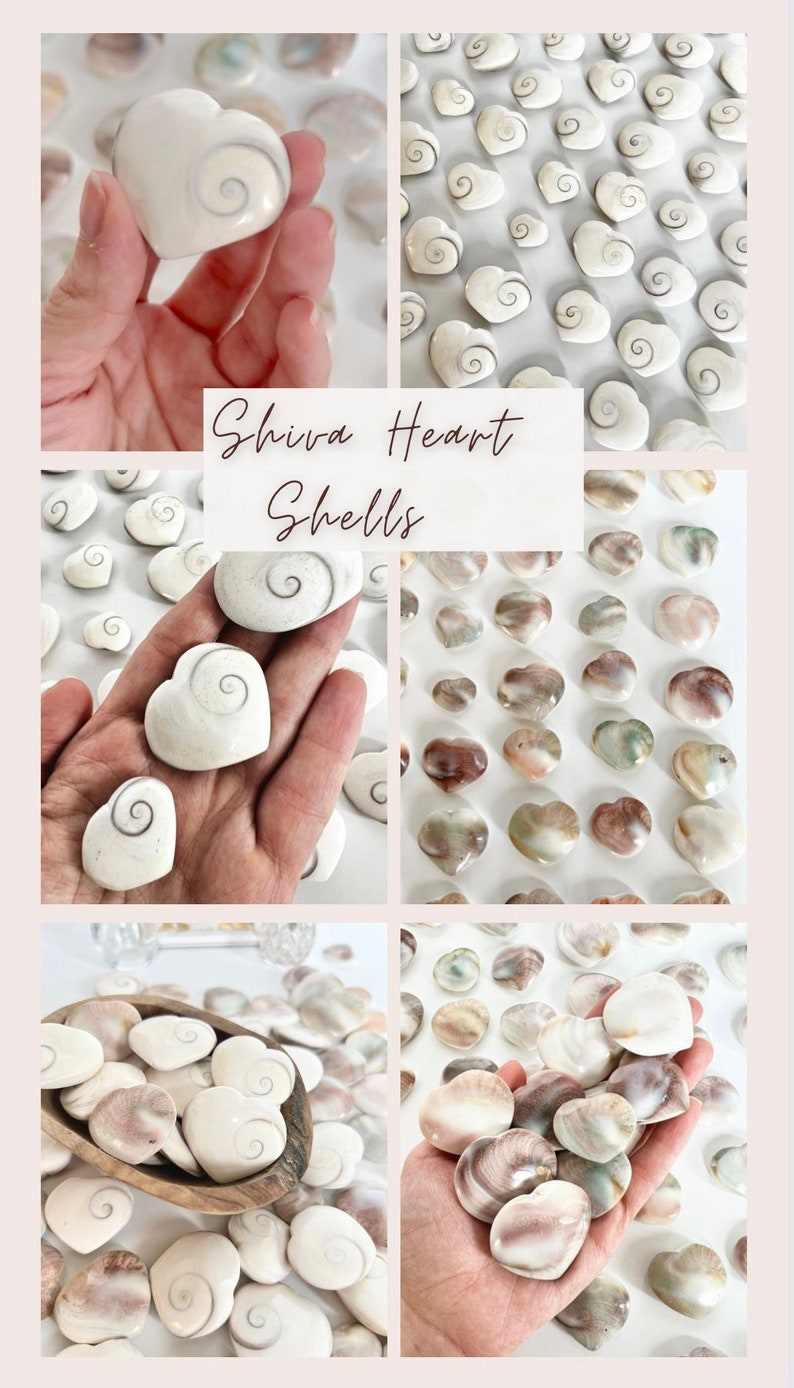 Shiva Heart Shells, Pastel Backs, Crystal Carving, Pocket Stone, Gifts for Her image 1