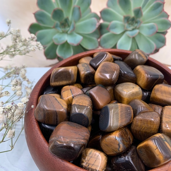 ONE Tigers Eye Tumbled Stone, Pocket Stone Mini Crystal Gridding Practice Healing Altar Intentional Manifestation