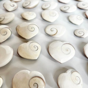Shiva Heart Shells, Pastel Backs, Crystal Carving, Pocket Stone, Gifts for Her image 9