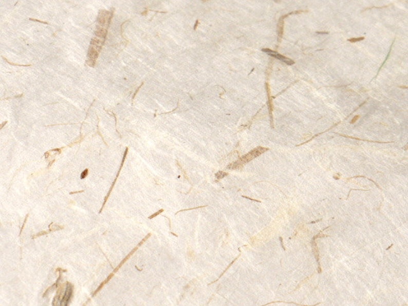 Puede incluir: Primer plano de una hoja de papel hecho a mano con una superficie texturizada. El papel tiene un color natural blanquecino y est&aacute; salpicado de peque&ntilde;as motas marrones. El papel est&aacute; hecho de materiales reciclados y tiene un aspecto r&uacute;stico &uacute;nico.