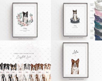 personalised border collie print, black white, tri, blue merle, red sable, chocolate illustration, collie gift, birthday, christmas